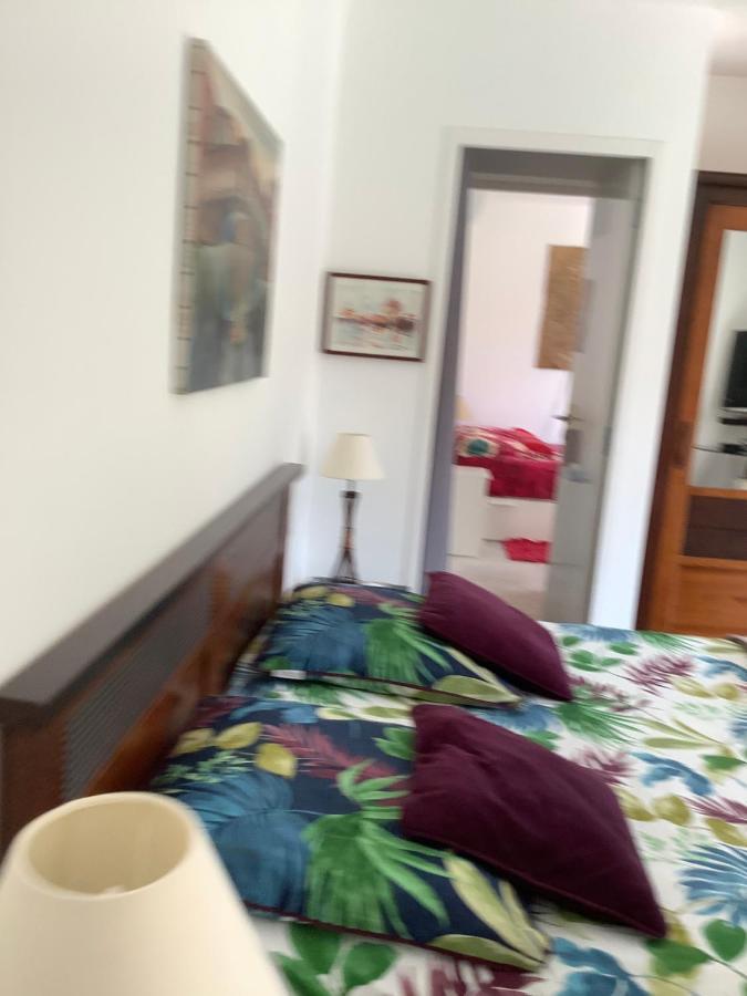 Chambres De La Terre Blanche 사나리쉬르메르 외부 사진